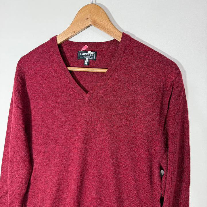 EXPRESS MODERN FIT EXTRA FINE MERINO WOOL V NECK SWEATER